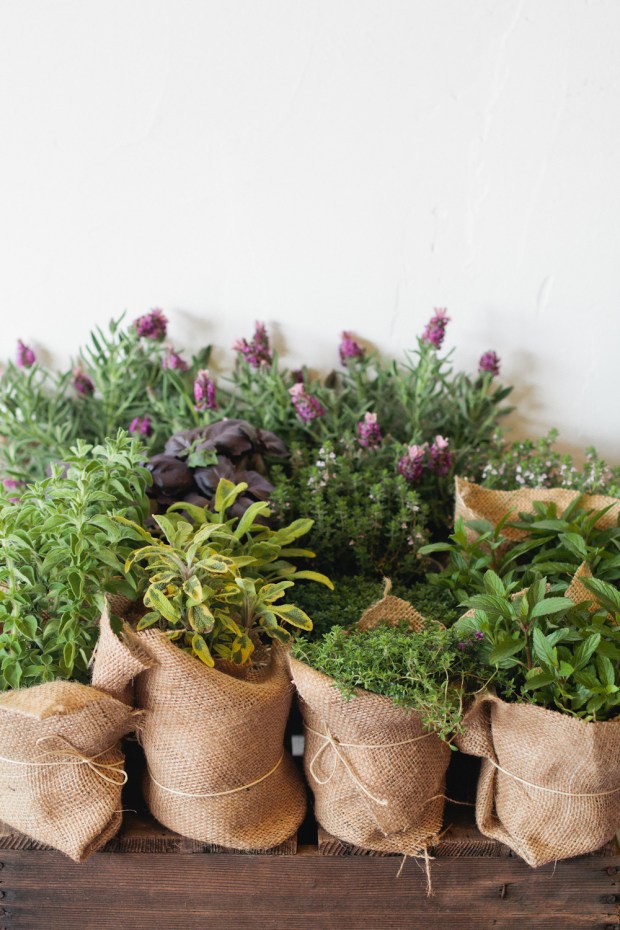 Yasminefloraldesign.com